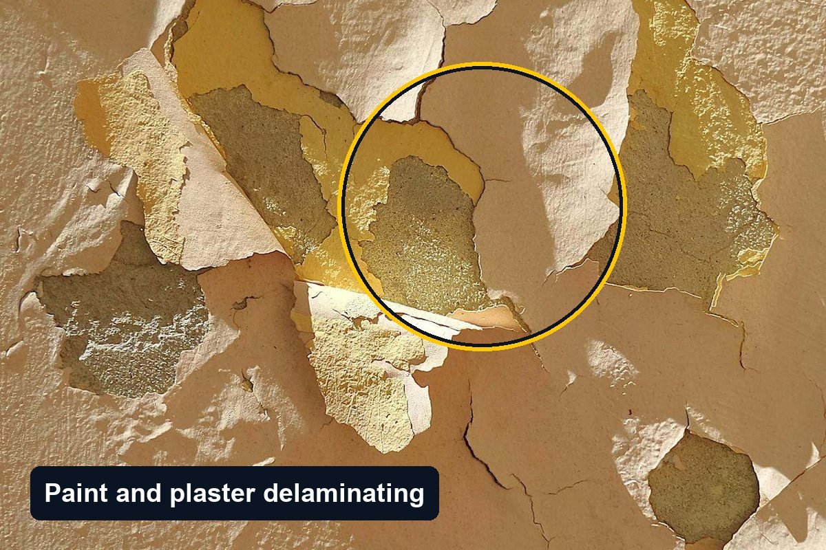 Paint flaking off an interior wall in a large patch