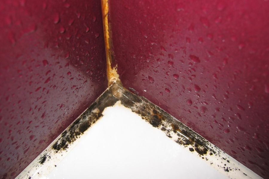 Corner of a shower enclosure with dark red tiles, water droplets and black mould along the sealant at the internal corner and the tray