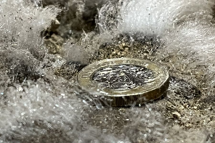 Close-up of white efflorescence crystals with a one-pound coin resting on them for scale