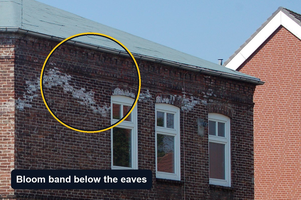 Red brick house with a band of white efflorescence across the brickwork just below the eaves and above the first-floor windows