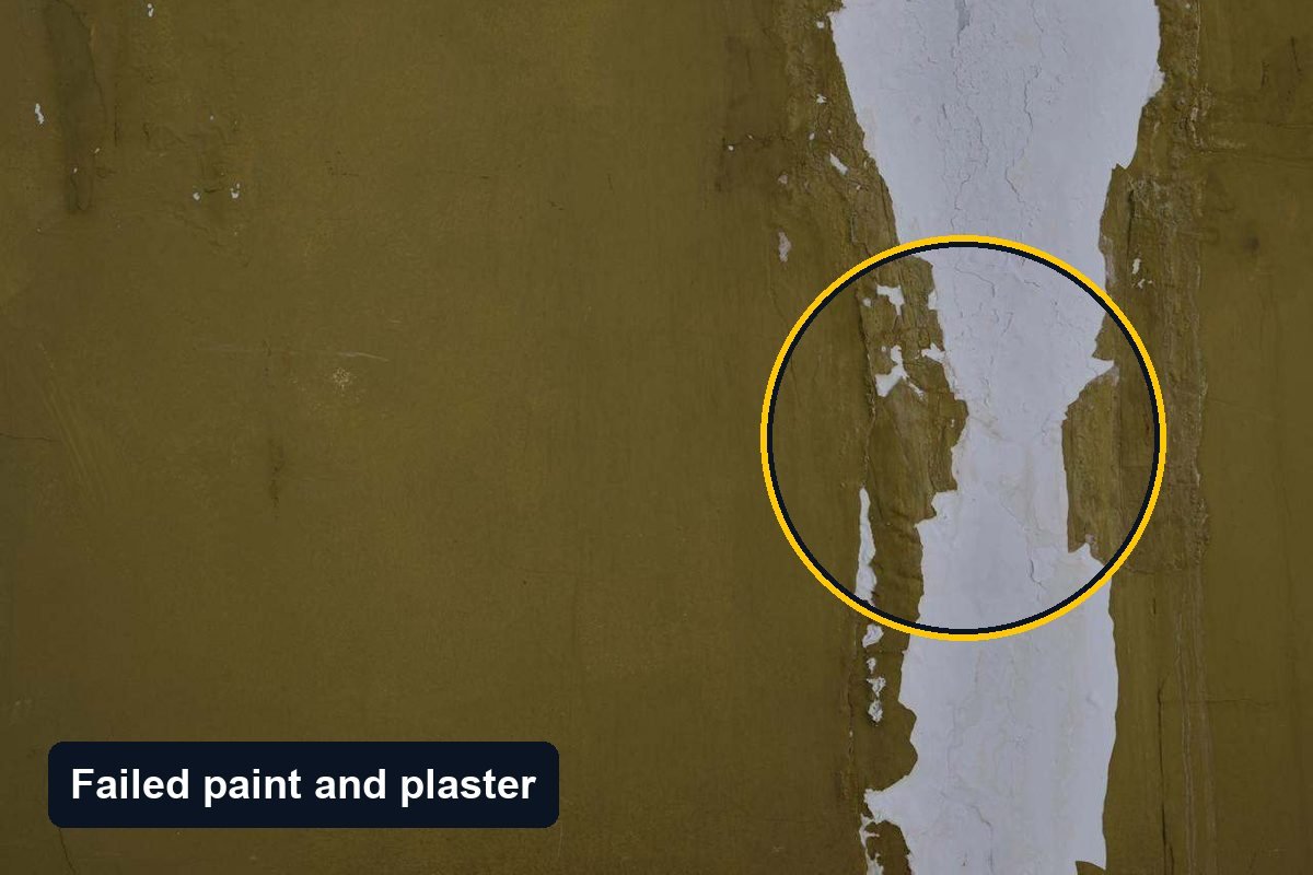 Vertical band of failed paint and plaster stripped back to the white substrate on an olive interior wall