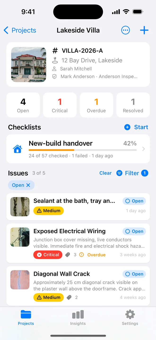 A project filtered to Open with the chip and count shown