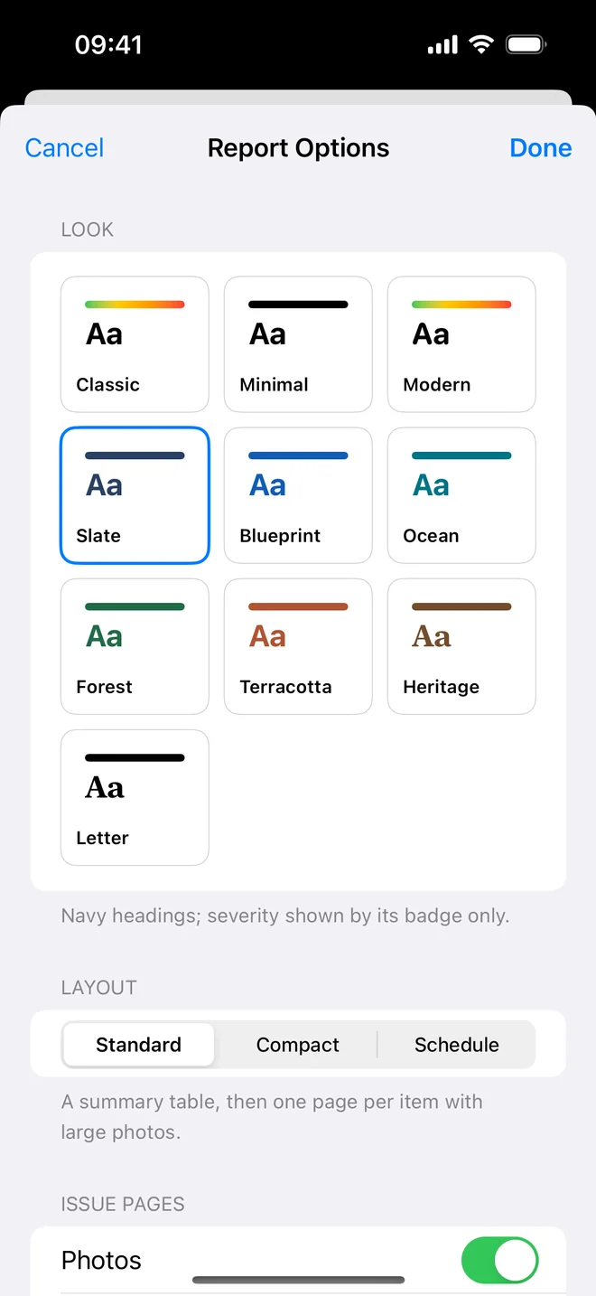 Report Options with ten report themes and the layout picker